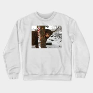 Scottish Highland Cattle Cow and Christmas Lights 2201 Crewneck Sweatshirt